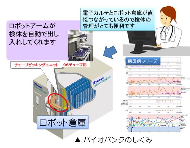 バイオバンクのしくみ