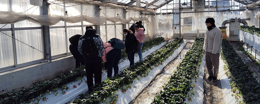 附属農場を訪問